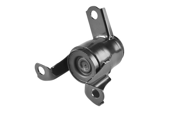 TEDGUM Lagerung, Motor