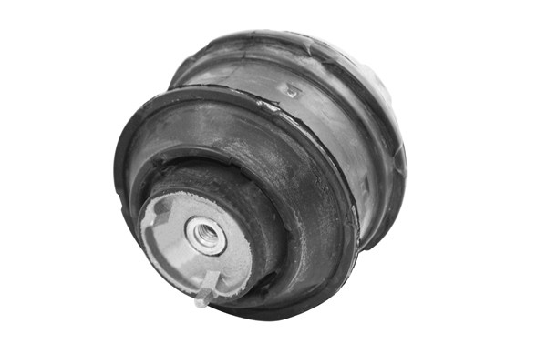 TEDGUM Lagerung, Motor