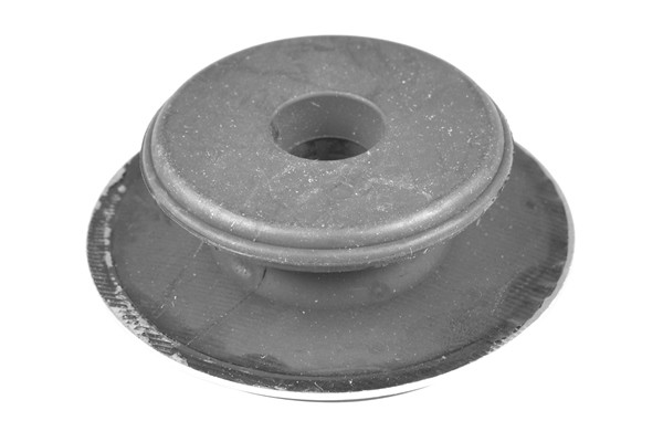 TEDGUM Federbeinstützlager