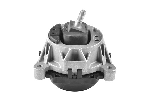 TEDGUM Lagerung, Motor