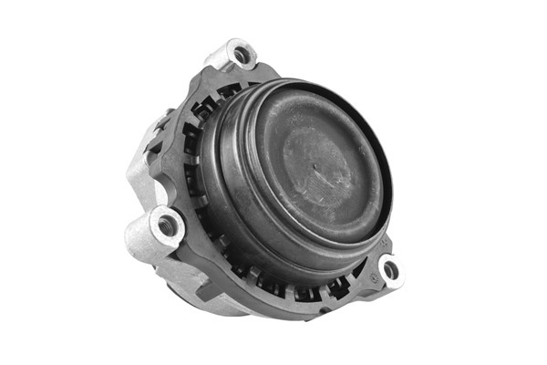 TEDGUM Lagerung, Motor