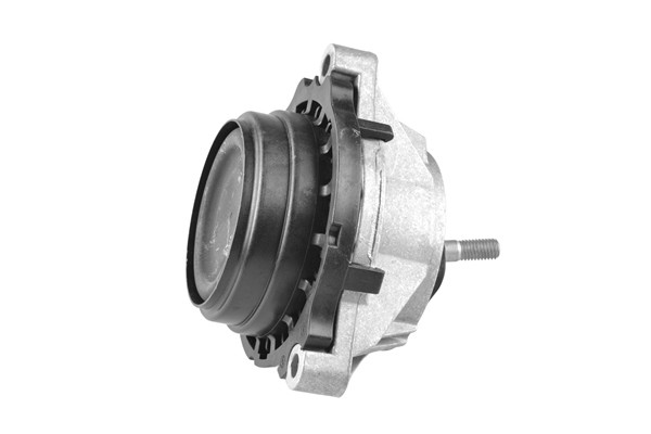 TEDGUM Lagerung, Motor