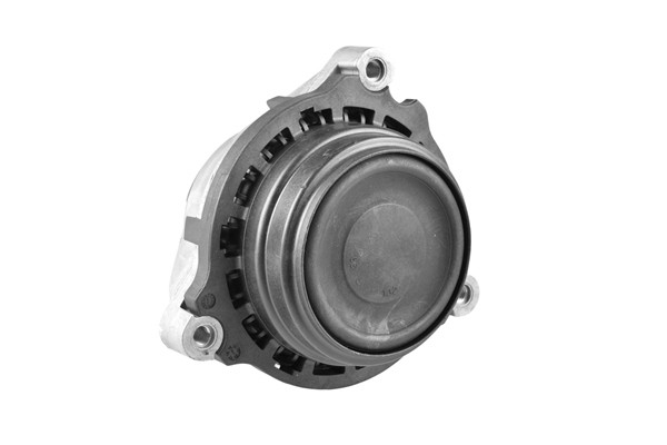 TEDGUM Lagerung, Motor