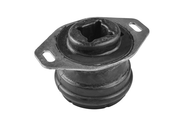 TEDGUM Lagerung, Motor