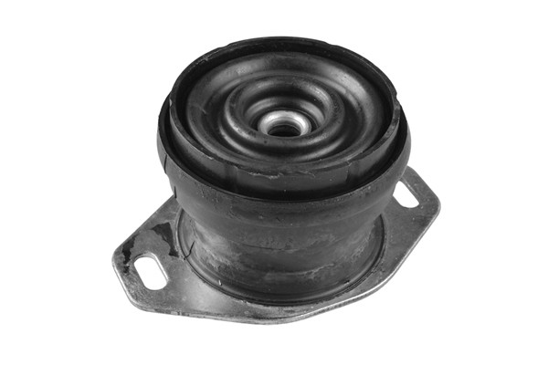 TEDGUM Lagerung, Motor