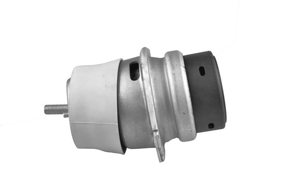 TEDGUM Lagerung, Motor