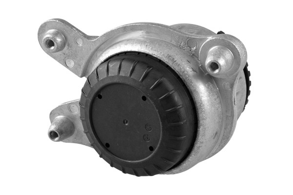 TEDGUM Lagerung, Motor