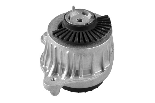 TEDGUM Lagerung, Motor