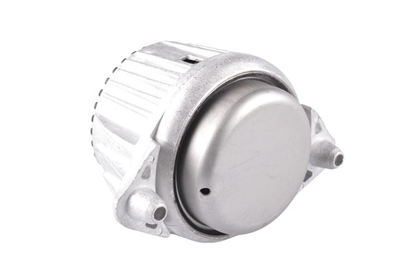 TEDGUM Lagerung, Motor