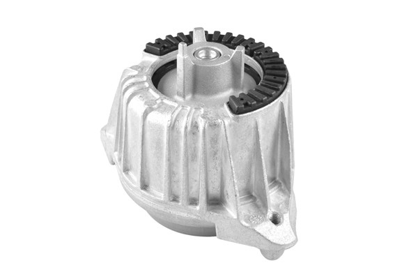 TEDGUM Lagerung, Motor