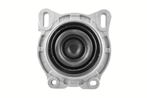 TEDGUM Lagerung, Motor