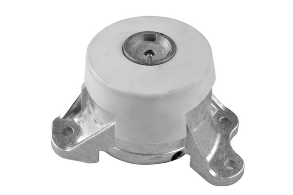 TEDGUM Lagerung, Motor