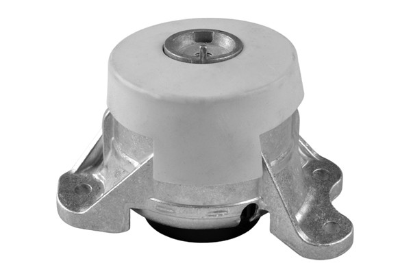 TEDGUM Lagerung, Motor