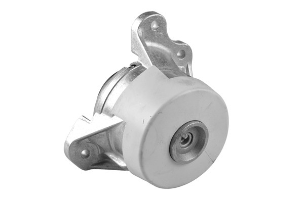 TEDGUM Lagerung, Motor
