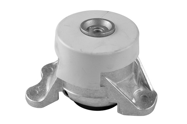 TEDGUM Lagerung, Motor