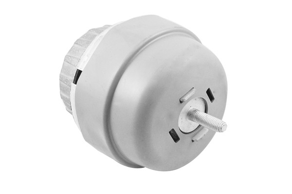 TEDGUM Lagerung, Motor