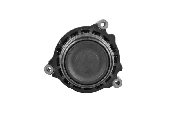 TEDGUM Lagerung, Motor