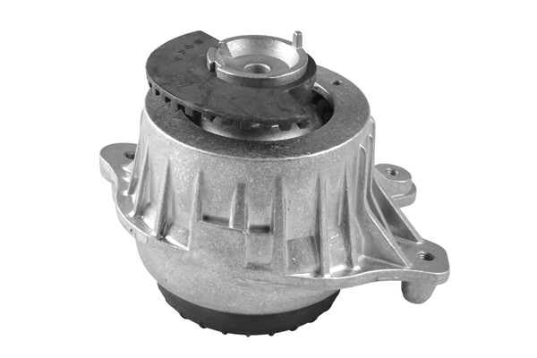 TEDGUM Lagerung, Motor