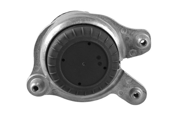 TEDGUM Lagerung, Motor