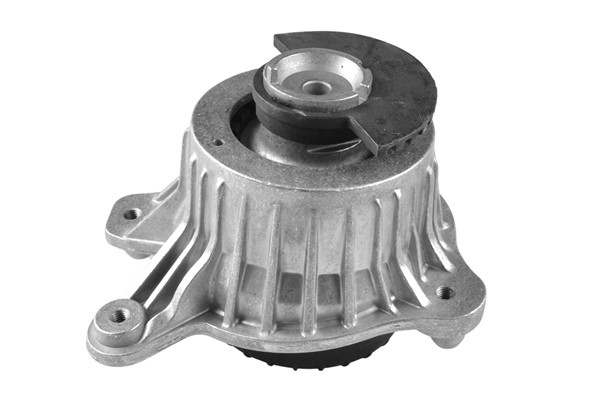 TEDGUM Lagerung, Motor