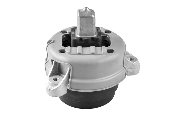 TEDGUM Lagerung, Motor