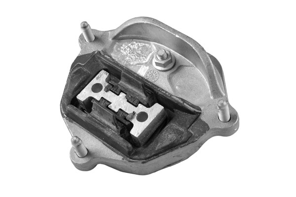 TEDGUM Lagerung, Motor