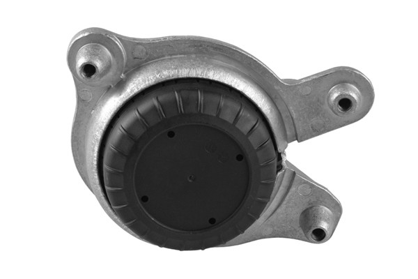 TEDGUM Lagerung, Motor