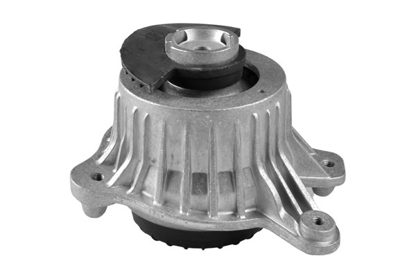 TEDGUM Lagerung, Motor