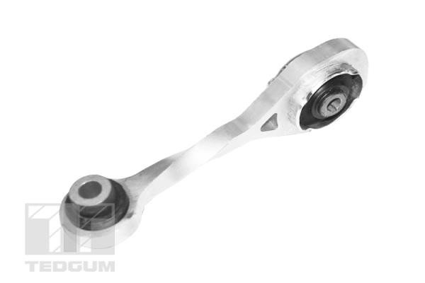 TEDGUM Lagerung, Motor