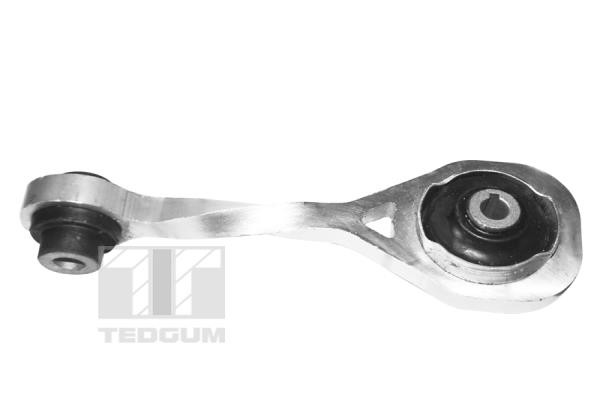 TEDGUM Lagerung, Motor