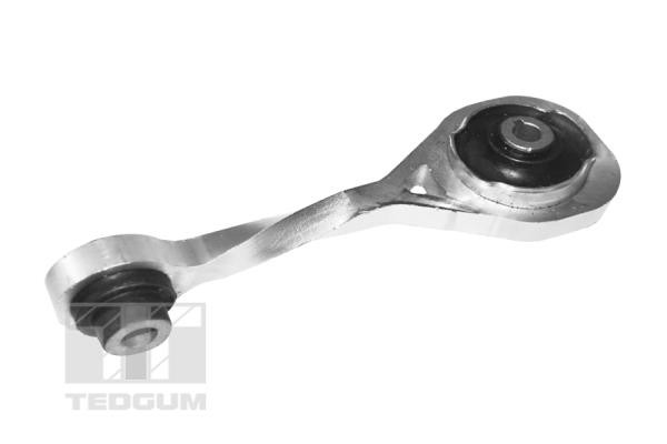 TEDGUM Lagerung, Motor