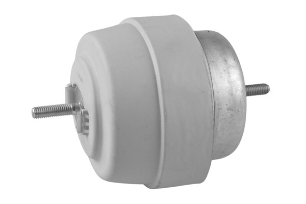 TEDGUM Lagerung, Motor