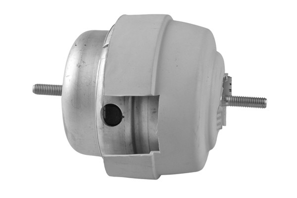 TEDGUM Lagerung, Motor