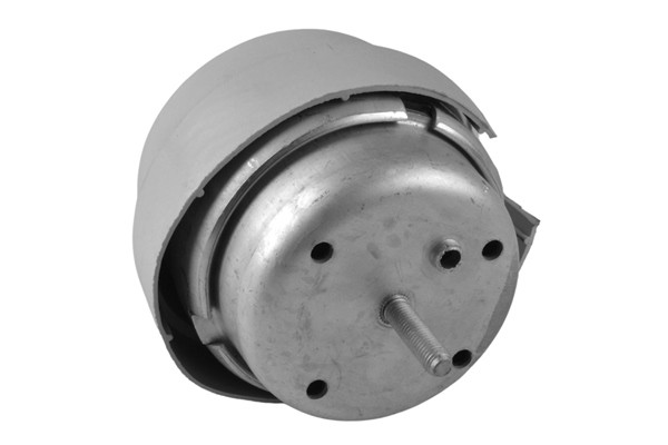 TEDGUM Lagerung, Motor