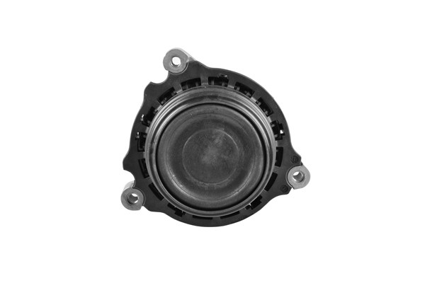 TEDGUM Lagerung, Motor