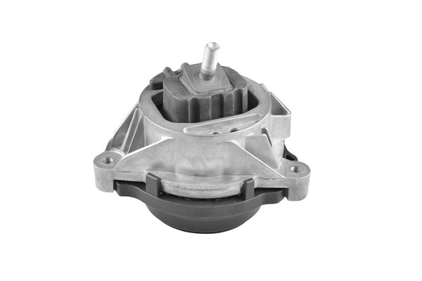 TEDGUM Lagerung, Motor