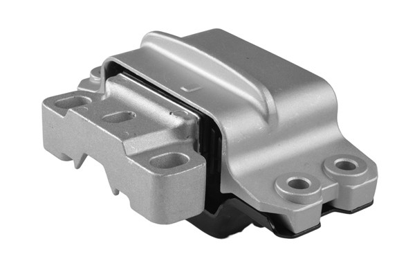 TEDGUM Lagerung, Motor