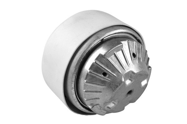 TEDGUM Lagerung, Motor