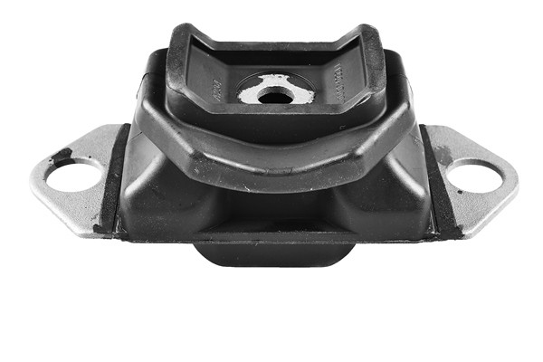 TEDGUM Lagerung, Motor
