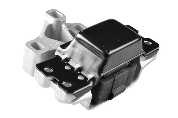 TEDGUM Lagerung, Motor