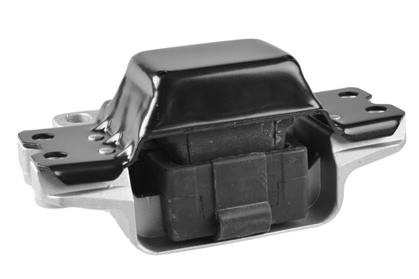 TEDGUM Lagerung, Motor