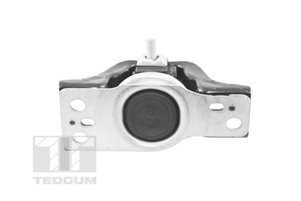 TEDGUM Lagerung, Motor