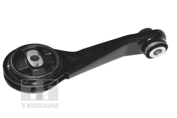 TEDGUM Lagerung, Motor