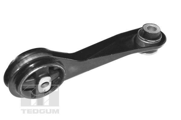 TEDGUM Lagerung, Motor