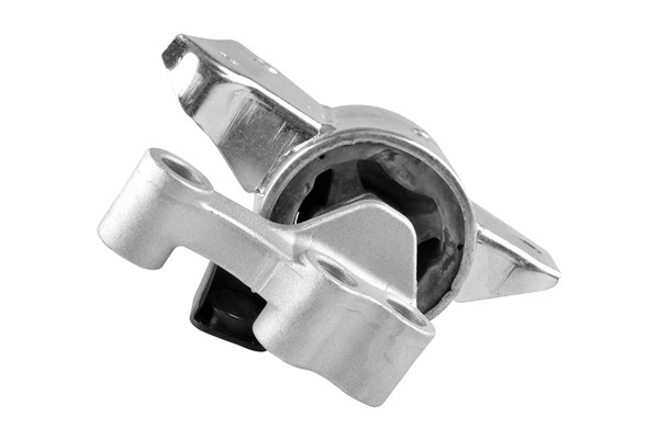 TEDGUM Lagerung, Motor