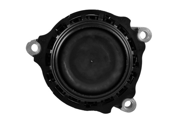 TEDGUM Lagerung, Motor