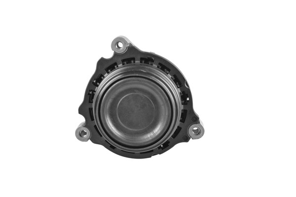 TEDGUM Lagerung, Motor