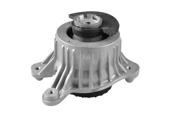TEDGUM Lagerung, Motor