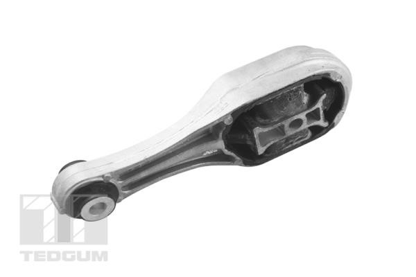 TEDGUM Lagerung, Motor