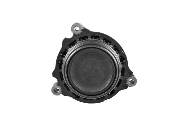 TEDGUM Lagerung, Motor